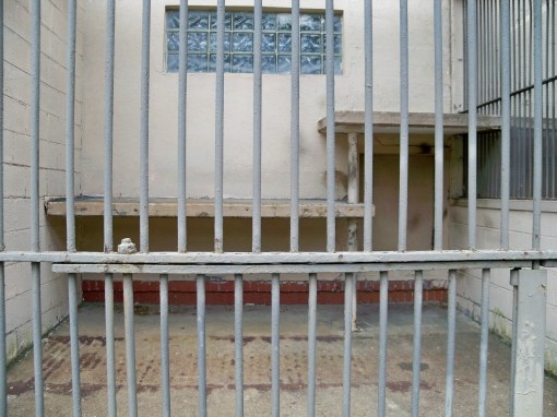 Nay Aug Park Zoo Habitat