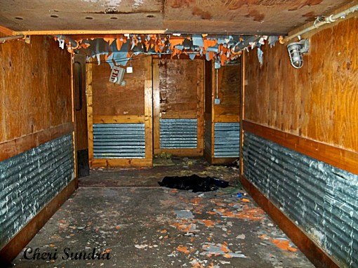 The Station: Post-Roth-Restoration